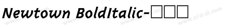 Newtown BoldItalic字体转换